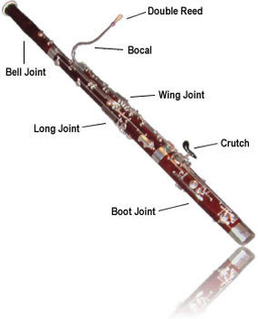 bassoon diagram